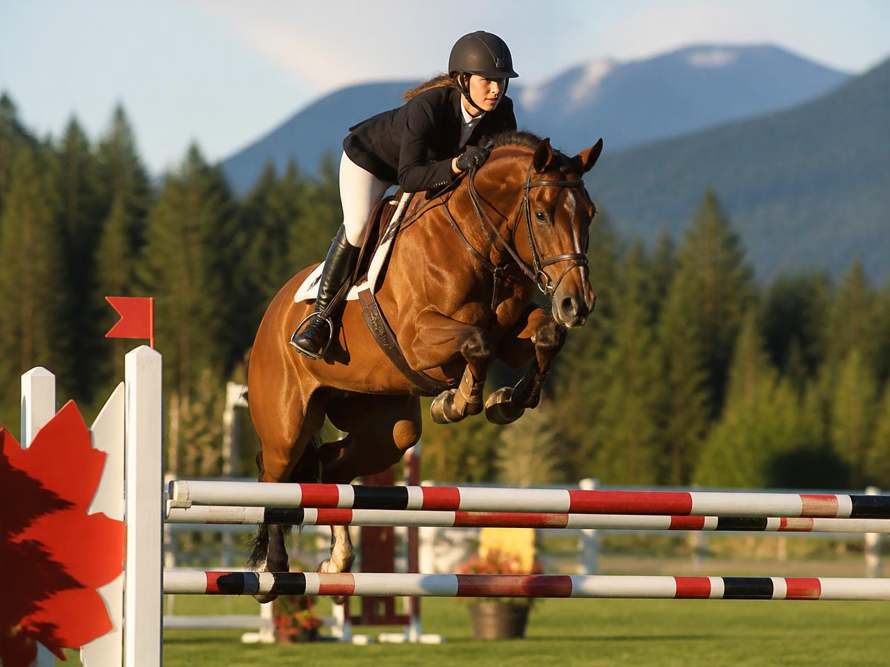 Hunter/jumper horse and rider clearing a fence at a Vancouver Island ring